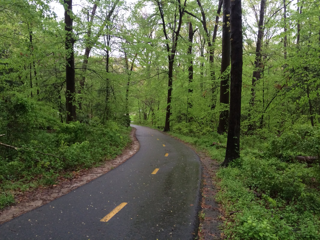 Picture of George Washington Bike Trail